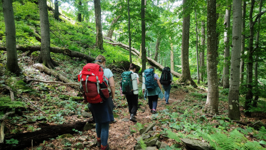 Prešovský kraj: Pre turistov sú pripravené nové unikátne zážitky